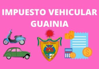 IMPUESTO VEHICULAR GUAINIA