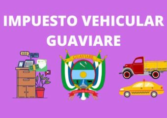 IMPUESTO VEHICULAR GUAVIARE