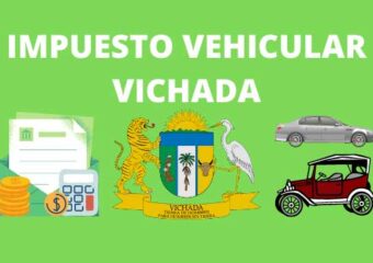 IMPUESTO VEHICULAR VICHADA